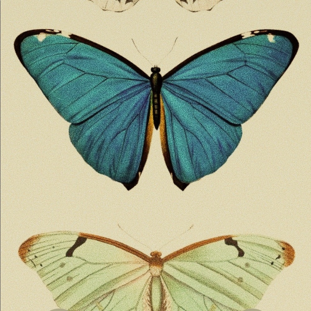 Meet your Posher, Anna